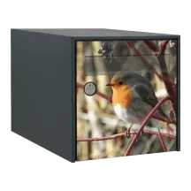 Sticker boîte aux lettres personnalisé Rouge gorge