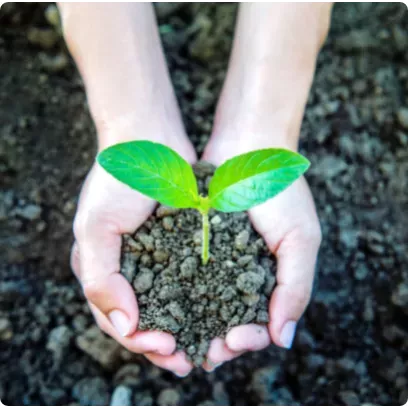 Développement durable