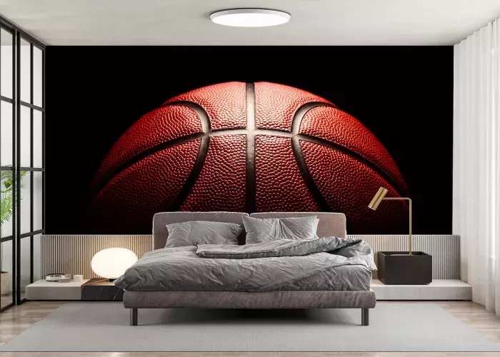 Papier Peint Panoramique Basket Ball