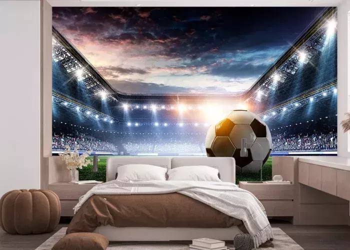 Papier Peint Panoramique Football 2