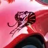 Stickers Serpent