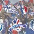 Stickers Equipe de France Foot