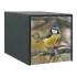 Stickers boîte aux lettres Oiseaux