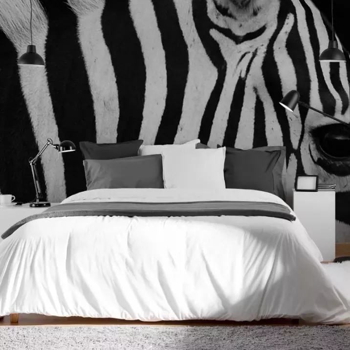 Papier Peint Panoramique Zèbre Nature