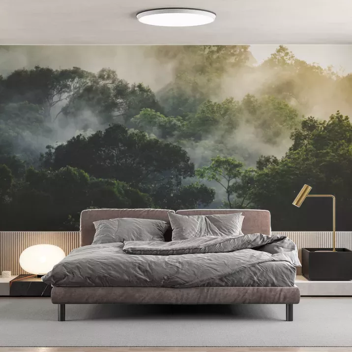 Papier Peint Panoramique Jungle Brumeuse