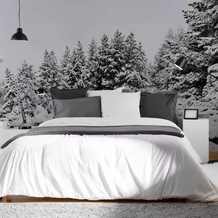 Papier Peint Panoramique Foret Enneigée