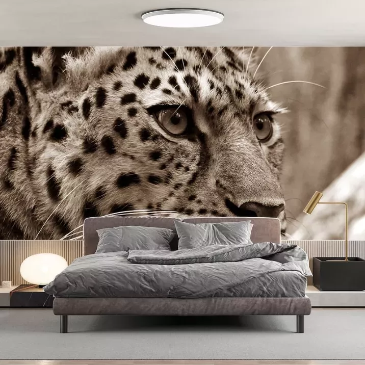 Papier Peint Panoramique Léopard 2