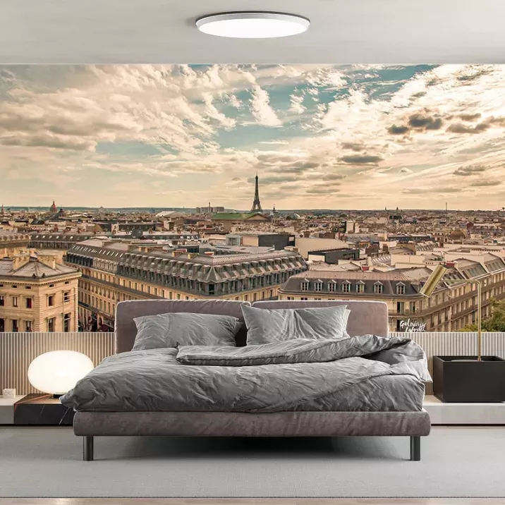 Papier Peint Panoramique Ville Paris Vu du ciel