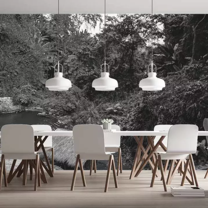 Papier Peint Panoramique Jungle Photo Noir et Blanc