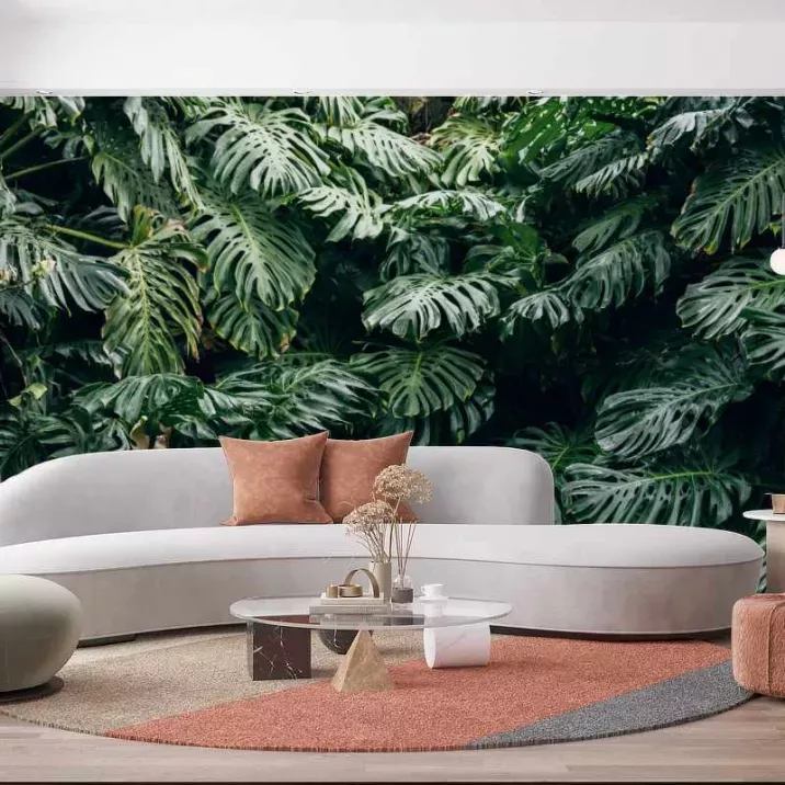Papier Peint Panoramique Jungle Feuilles Monstera