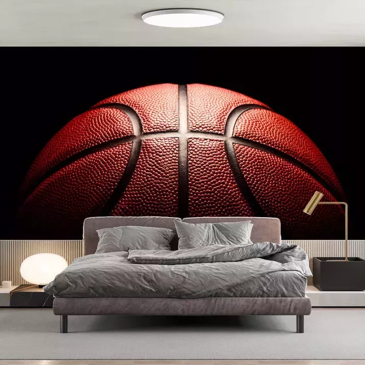 Papier Peint Panoramique Basket Ball