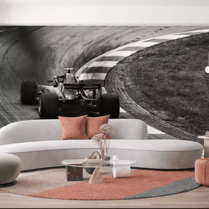 Papier Peint Panoramique Vintage Formula