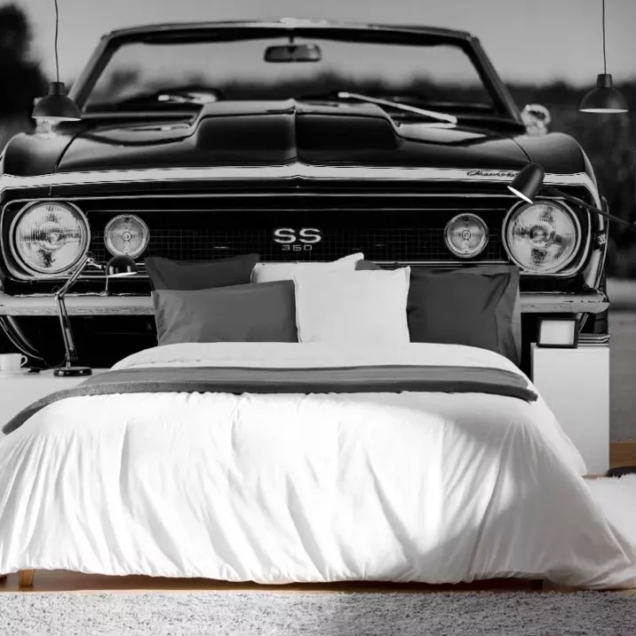Papier Peint Panoramique Chevelle SS