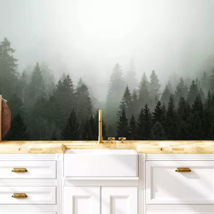 Papier Peint Panoramique Foret Brumeuse 3