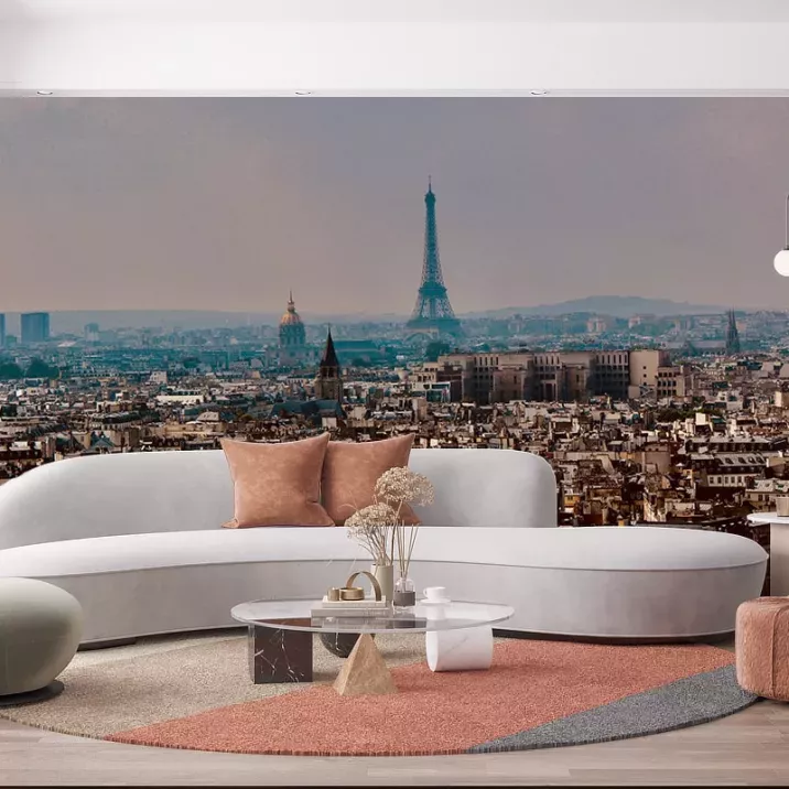 Papier Peint Panoramique Ville Paris Toits