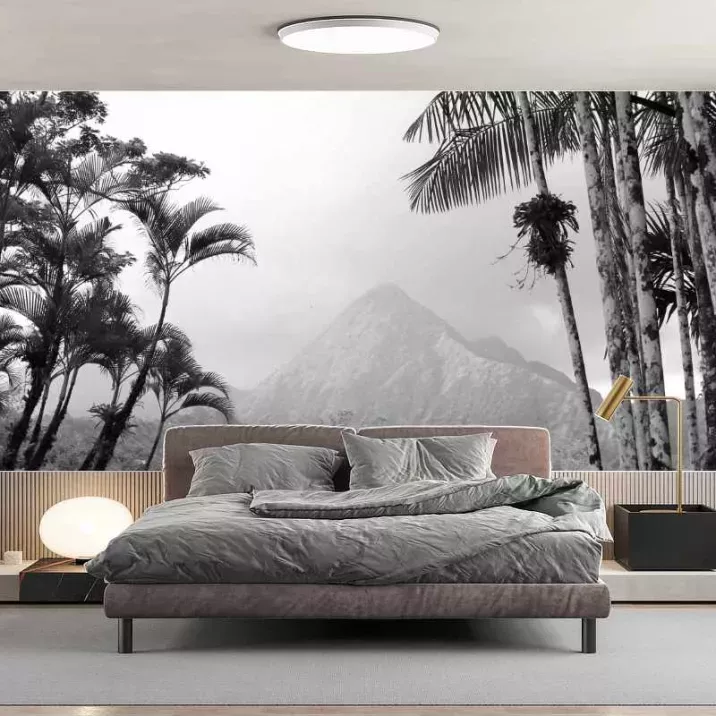 Papier Peint Panoramique Jungle Forêt Noir et Blanc 2