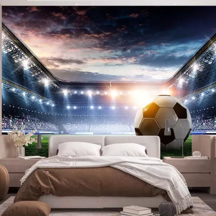 Papier Peint Panoramique Football 2
