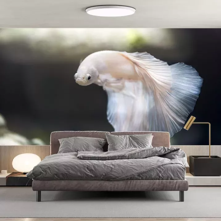 Papier Peint Panoramique Poisson Combattant