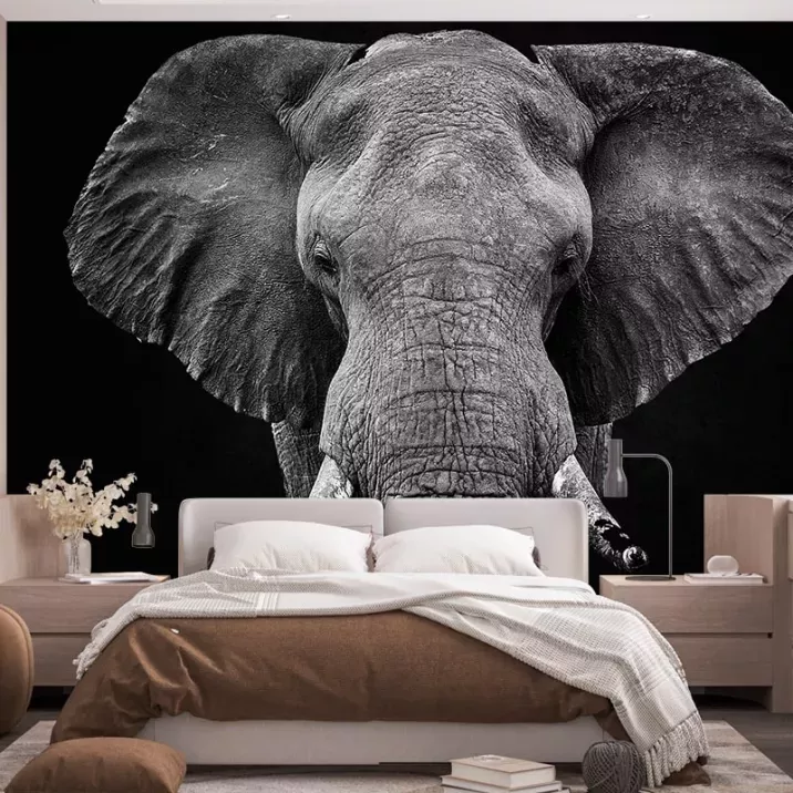 Papier Peint Panoramique Eléphant